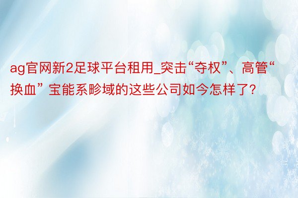 ag官网新2足球平台租用_突击“夺权”、高管“换血” 宝能系畛域的这些公司如今怎样了？